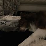 Karenekopf - @karen_kopf - Instagram