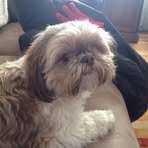 Karen Krajewski - Facebook