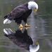 Karen Krick - Facebook