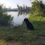 Karen Krickhahn - @karenkrickhahn - Instagram