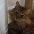 Karen Grace - Facebook
