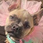 Karen Merida Kula - @karenhoney1972 - Instagram