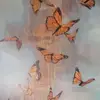 karenkulan - @karenkulan - TikTok
