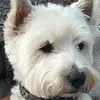Karen Lanfear979 - @karenlanfear - TikTok