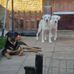 Karen Metcalf - Facebook