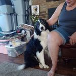 Karen Langston - @ksue4862018 - Instagram