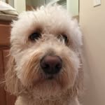 Karen Langston - @karen.langston.393 - Instagram