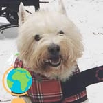 Karen Langston - @karen.langston.16 - Instagram