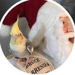 Karen Lapierre Werner - @karenlapierrewerner - Instagram