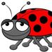 Karen Large - Facebook