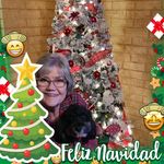 Karen Large Smith Hansen - @karenlargesmith - Instagram
