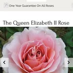 Karen Lark - @wragg72 - Instagram
