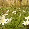 Karen Larke - @karenlarke1971 - TikTok