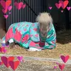 karenlarkin127 - @karenlarkin127 - TikTok