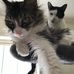 Karen Laymon - Facebook