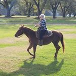Karen LeBow - @lebowkaren - Instagram