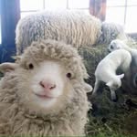 Karen Lechner - @not_just_any_karen - Instagram