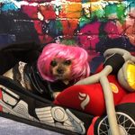 Karen Lechner - @lech1960 - Instagram