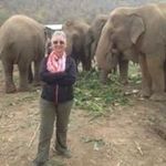 Karen Leduc - @leduc_karen - Instagram
