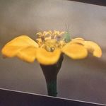 Karen Leeper - @karensueleeper - Instagram