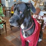Karen Leff - @55malachi - Instagram