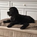 Karen Simon-Leff - @simonleff - Instagram