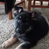 karenlesher629 - @karenlesher629 - TikTok