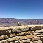 Karen Lightner - @keeflight - Instagram