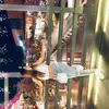 Karen  Limón - @karen_lim0n - TikTok
