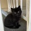 Karen Limon - @karen.limon0 - TikTok