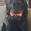 Karen Carmolingo - @karen.carmolingo - TikTok