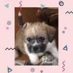 Karen Lingo - @karen.lingo.3 - Instagram
