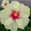 user3025137484990 - @karenlock9 - TikTok