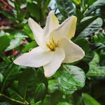 Karen looper - @karenlooper13 - Instagram
