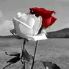 Karen Lopera - @karen.lopera5 - TikTok