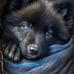 Karen Lorentz - Facebook