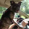 karen lorentz - @karen.lorentz - TikTok
