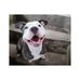 Karen Lux - Facebook