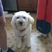 Karen Lynde - Facebook