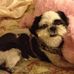 Karen Lynden - Facebook