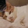 Karen MacIver - @karen.maciver - TikTok