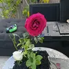 @karenmacy6 - @mercycerapio - TikTok
