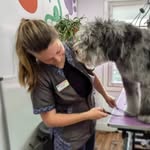 Karen Maley - Dog Groomer - @maleydoggroomer - Instagram