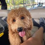 @karenmaplesjohnson - Instagram
