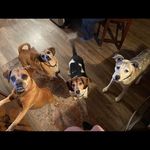 Karen markert - @karen_markert4214 - Instagram