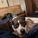 Karen E. Markert - @karen.markert.35 - Instagram