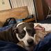 Karen E. Markert - Facebook