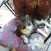 Karen Markley - Facebook