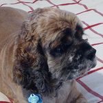 Karen Haynes McCafferty - @karen.haynes.33 - Instagram