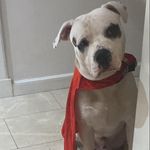 Karen L McCafferty - @karenlmccafferty - Instagram
